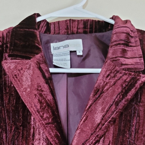 ⭐HOST PICK⭐Vintage Lana Lee Velvet Blazer - Picture 2 of 2